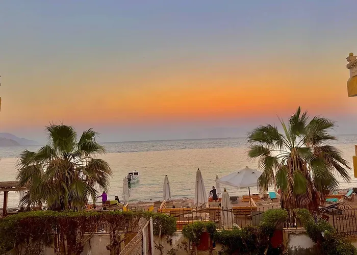 Sarda * Dahab